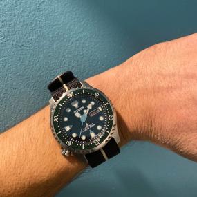 Promaster Diver