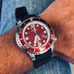 Eco-Drive Promaster Diver