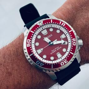 Eco-Drive Promaster Diver