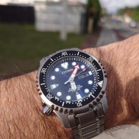 Promaster Diver