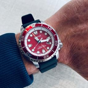 Eco-Drive Promaster Diver