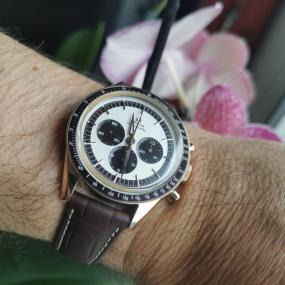 Speedmaster "First Omega in Space"